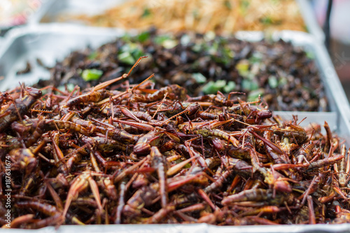 Fried insects - Grasshopper insect crispy, Thai food at the street food market. Available on the market
