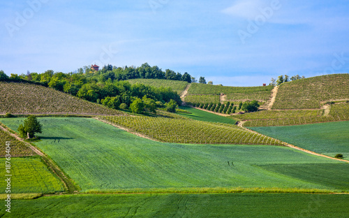 Food and art in Langhe and Monferrato area