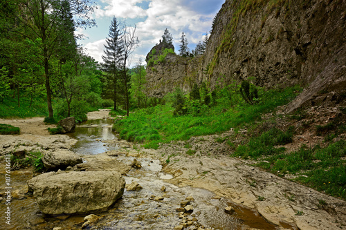 Pieniny-wąwóz Homole photo