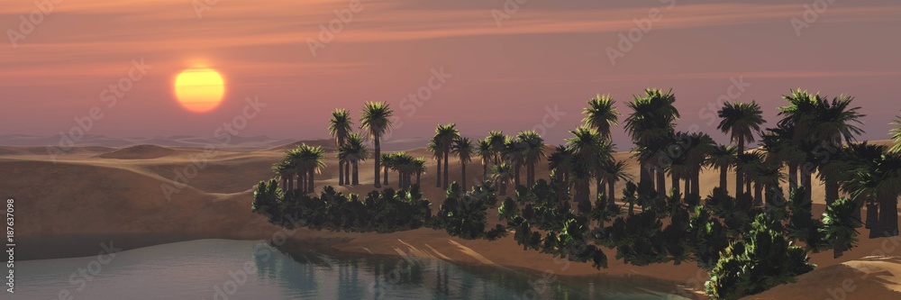 Oasis. Panorama of the desert with palm trees over the pond.
