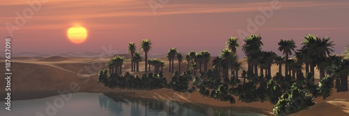Oasis. Panorama of the desert with palm trees over the pond.
