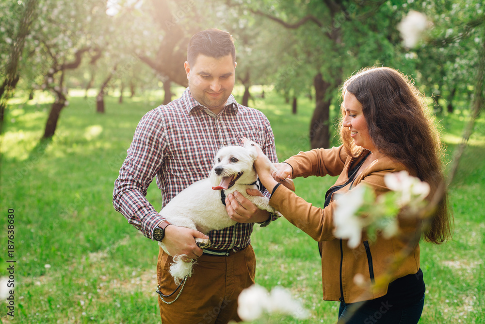 Young stylish happy couple in love playing with little white dog in blooming garden. Pretty girl and man having fun with maltese in park Young stylish happy couple in love playing with little white dog in blooming garden. Pretty girl and man having fun with maltese in park