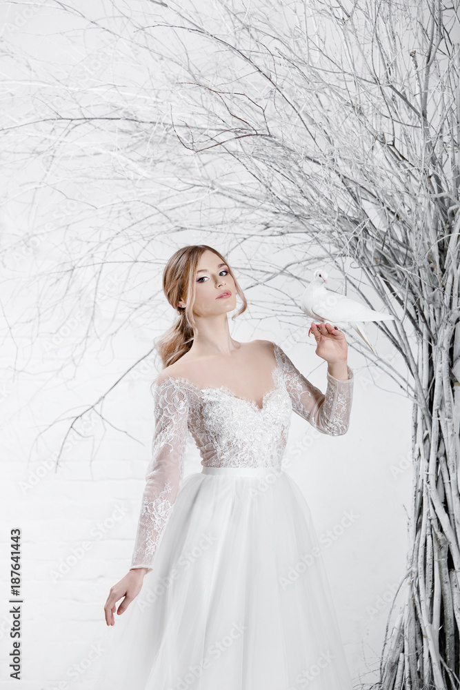 A young blonde bride in white wedding dress on a background of white walls and white tree in the background holds a white dove A young blonde bride in white wedding dress on a background of white walls and white tree in the background holds a white dove