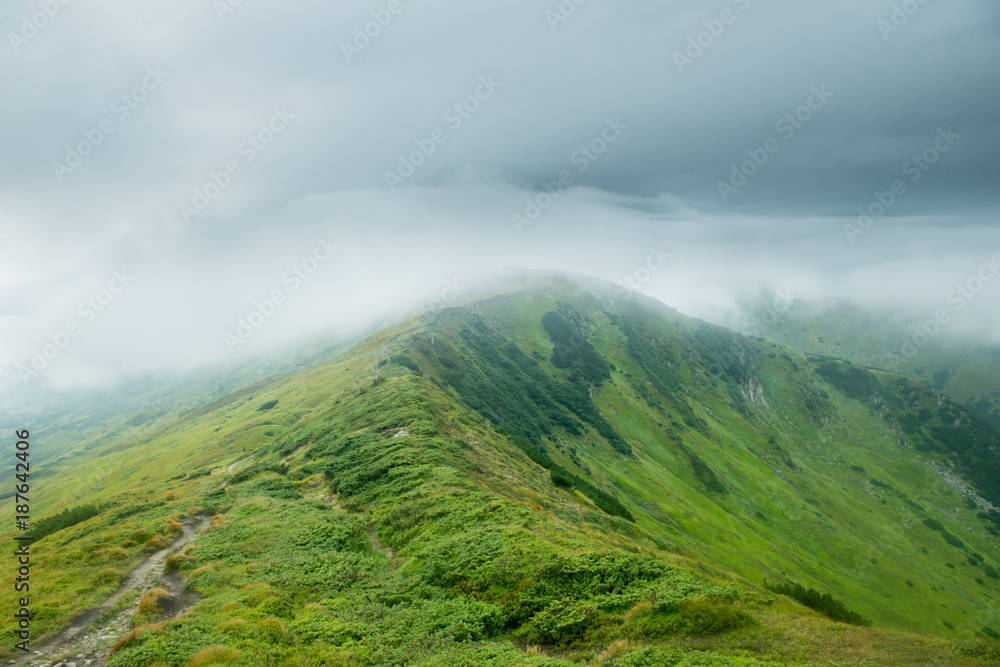 Fototapeta premium Landscape with green mountains in the clouds
