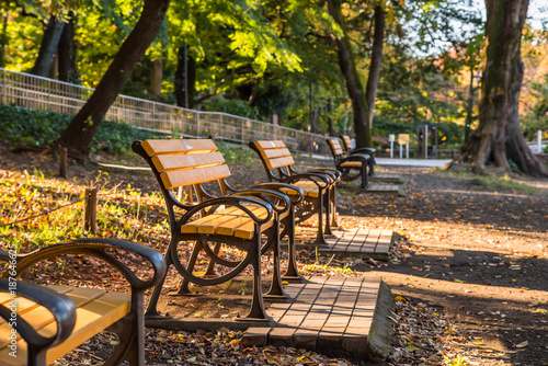 秋の井の頭公園のベンチ