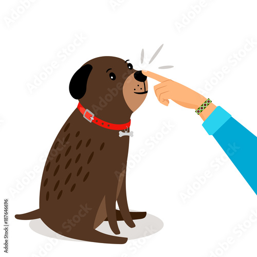 Girl hand touches dogs nose