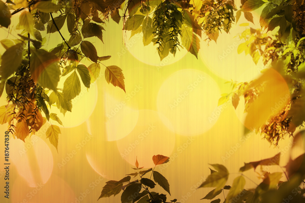Naklejka premium Foliage Border Warm Background.