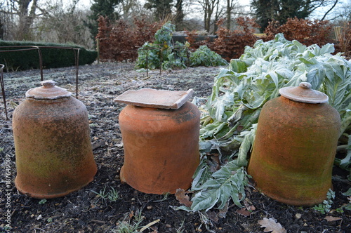 Rhubarb forcing pots