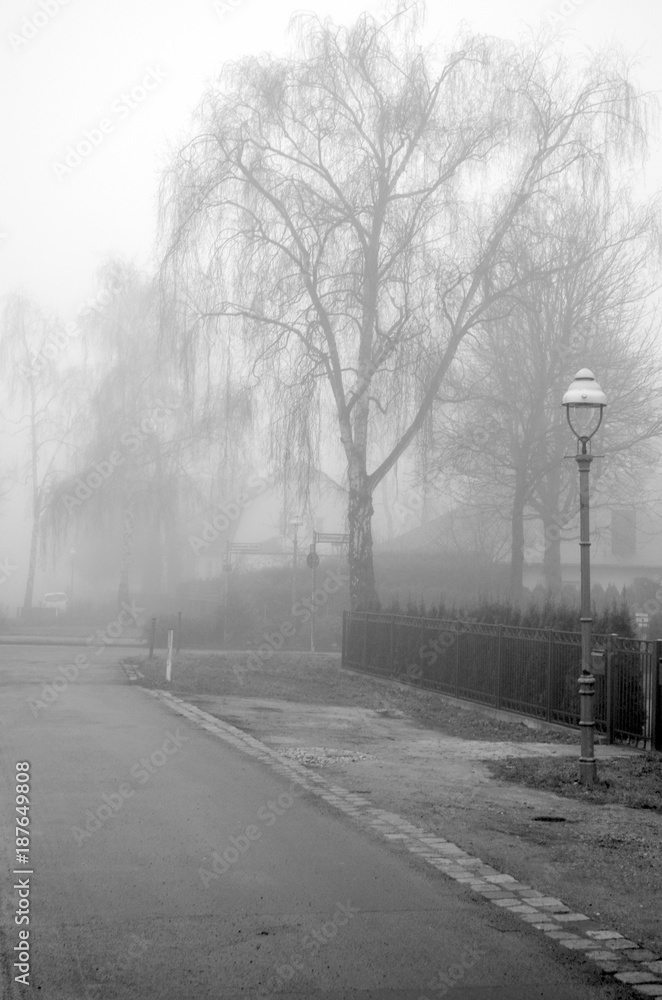 Black and white scene with road, lantern and trees in early morning fog in Berlin, Germany Black and white scene with road, lantern and trees in early morning fog in Berlin, Germany
