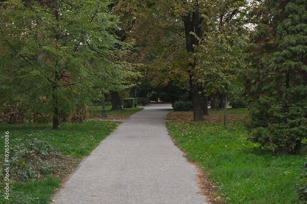 Path in park and trees around it, autumn time