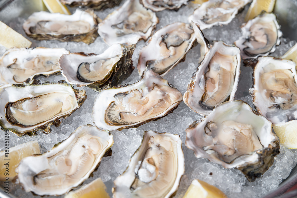 A bucket of ice filled with oysters. A bucket of ice filled with oysters.