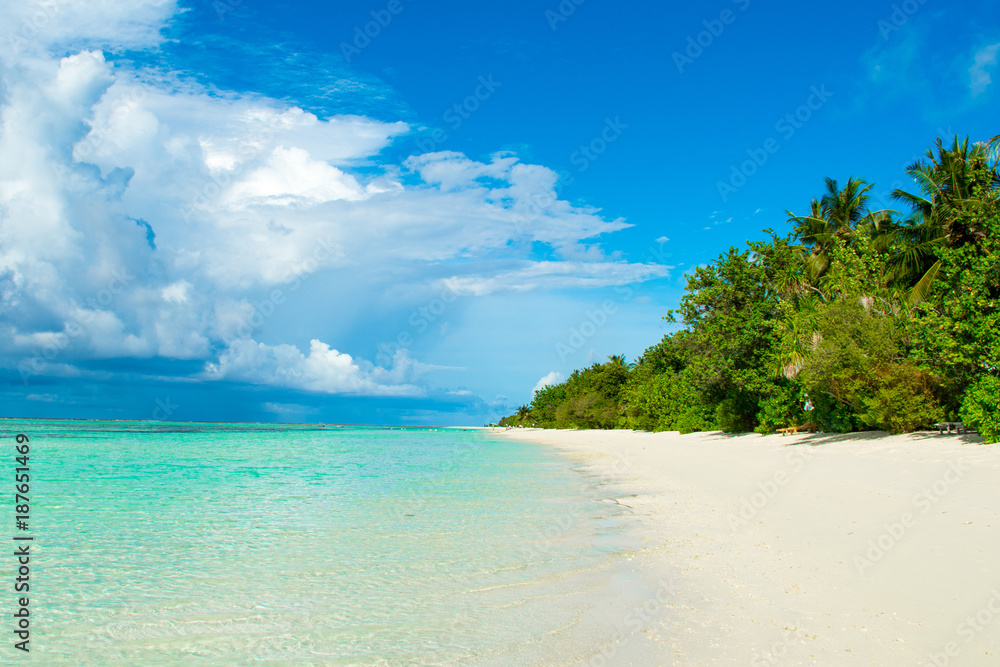 Fototapeta premium Beautiful panoramic landscape