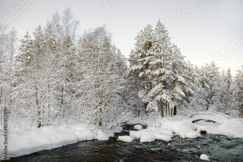 A short winter day in the north of Karelia. Russia