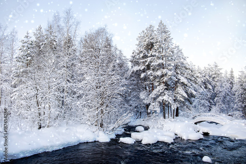 A fabulous winter day in the north of Karelia. Russia © Natalya Osipova
