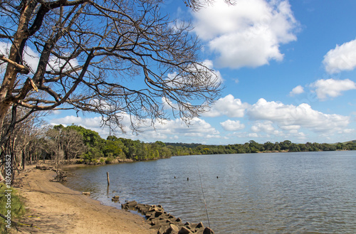 Lagoon at Umlalazi Nature Reserve at Mtunzini South Africa