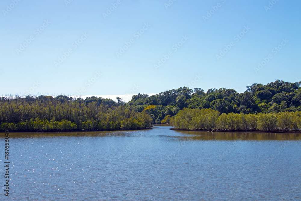 Lagoon at Umlalazi Nature Reserve at Mtunzini South Africa