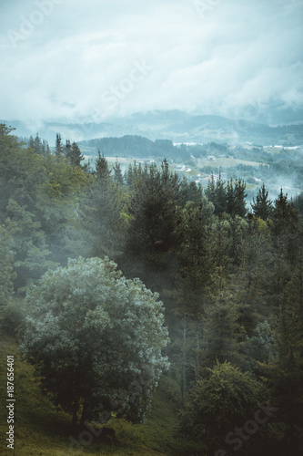 Haze above picturesque landscape with woods photo