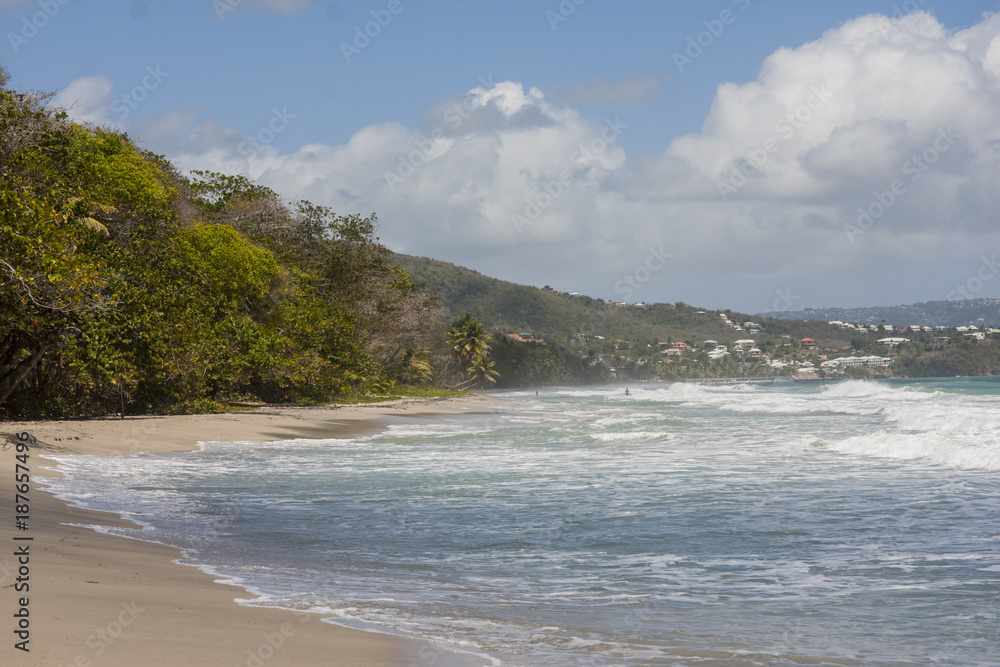 Beach and waves Martinique
