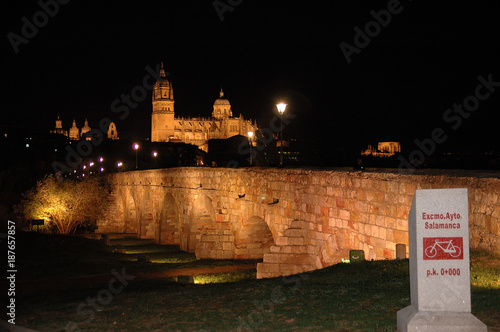 Catedral de Salamanca desde el Puente Romano