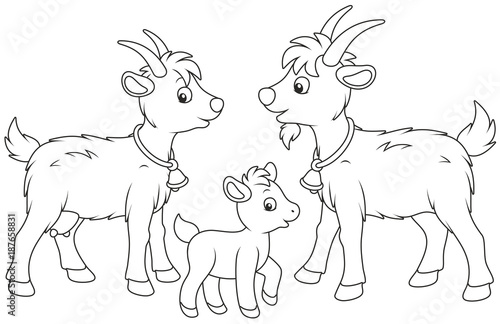 A small kid, a goat and a he-goat, a black and white vector illustration in funny cartoon style for a coloring book