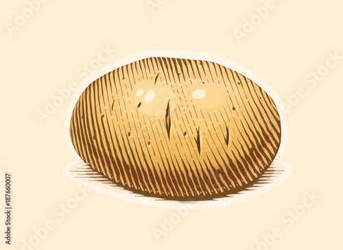 Potato. Engraving style vegetable. Organic vegetarian food.