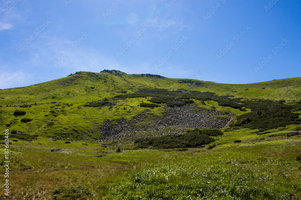 Landscape of the mountains and mountain natural green forest. Carpathian mountains. Europe. Ukraine. Landscape of the mountains and mountain natural green forest. Carpathian mountains. Europe. Ukraine.