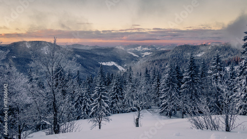 Extremely cold black forest warmed up by the early morning purple sun rays. The sky is opening up and the fir trees are covered with snow after the storm the day before. © Dennis Wegewijs