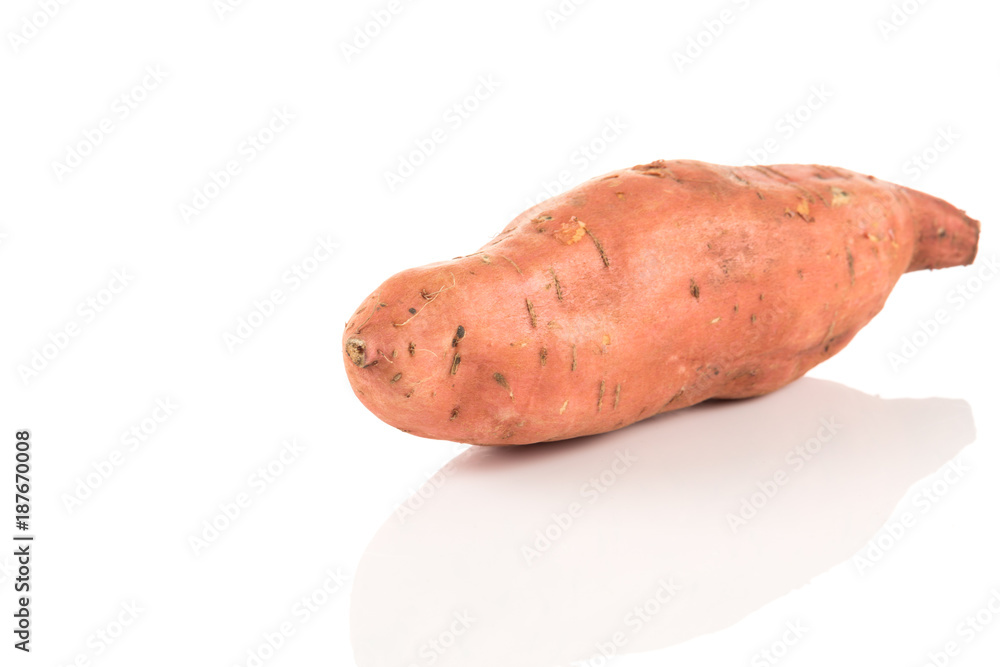 Sweet potato on the white background Sweet potato on the white background