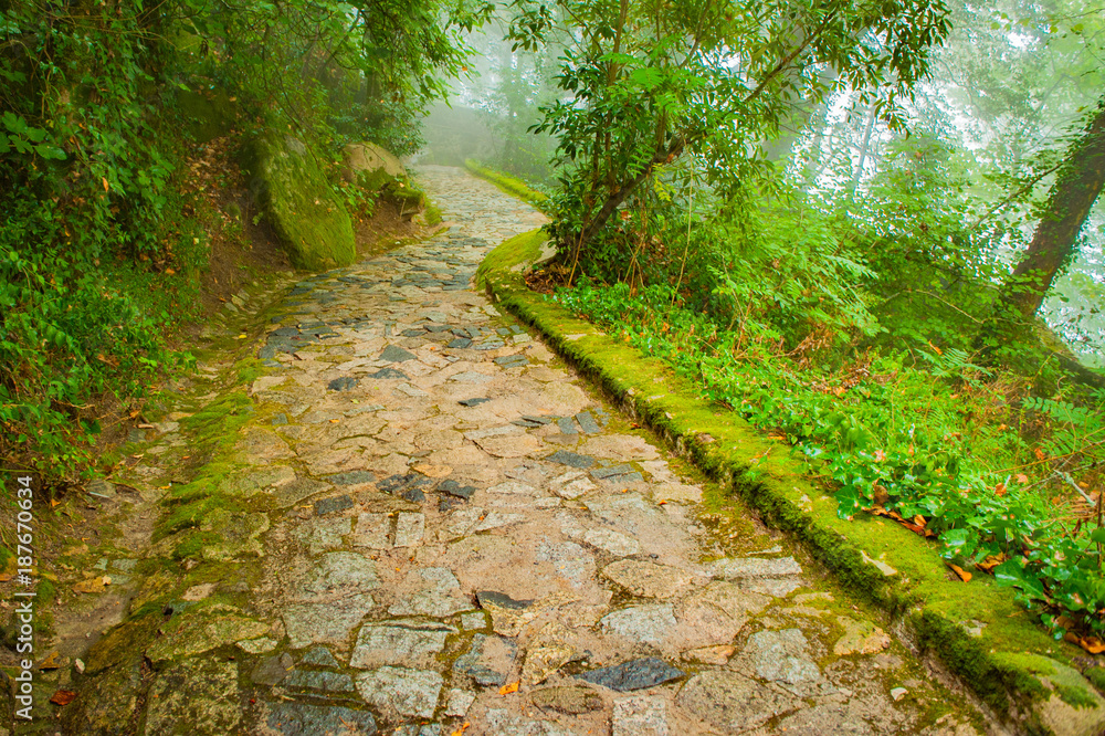 Portugal, Sintra, Hiking moutain path in the fog, forest near Lisbon