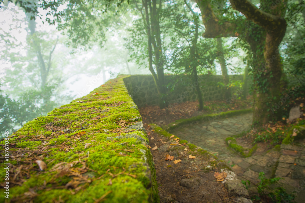 Portugal, Sintra, Hiking moutain path in the fog, forest near Lisbon