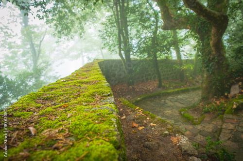 Obraz na płótnie Portugal, Sintra, Hiking moutain path in the fog, forest near Lisbon w salonie