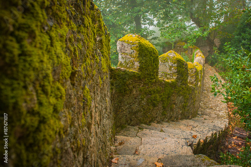 Portugal, Sintra, Hiking moutain path in the fog, forest near Lisbon