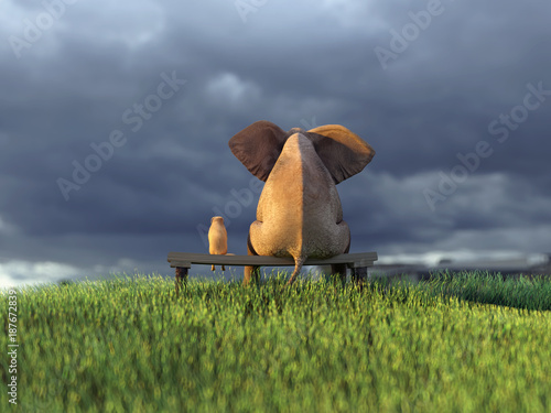 yellow dog and elephant on green grass field