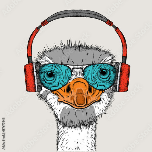 Portrait of an ostrich in headphones. Can be used for printing on T-shirts, flyers, etc. Vector illustration