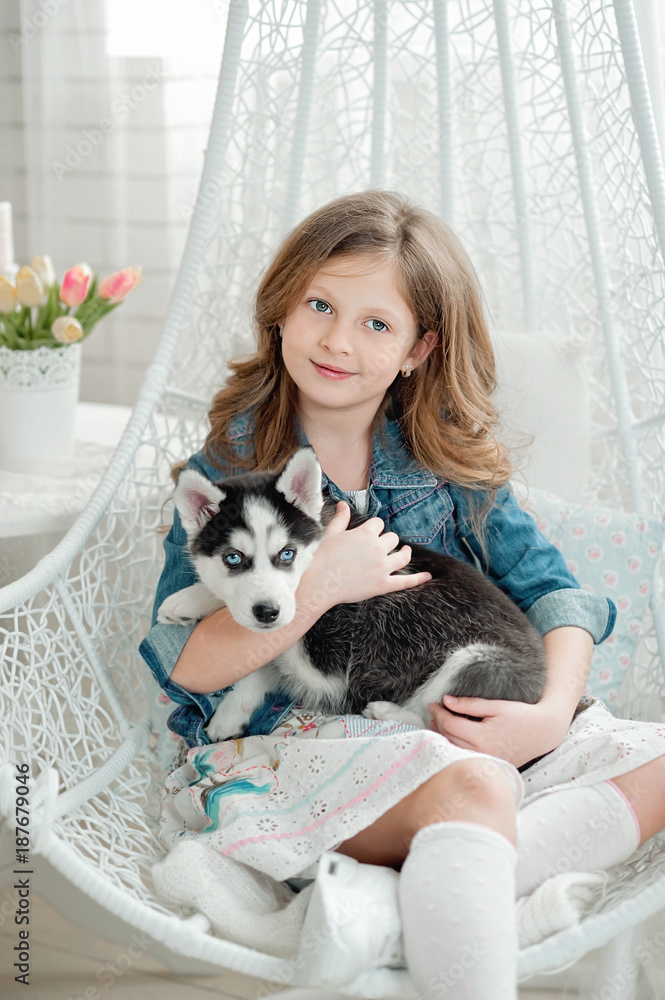 Cute little girl hugging a husky puppy on a white background. Symbol of new year 2018 Cute little girl hugging a husky puppy on a white background. Symbol of new year 2018