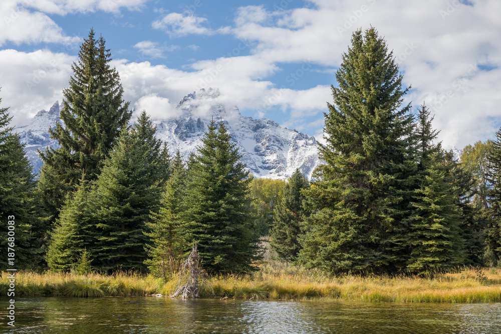 Early Autumn Landscape in the Tetons