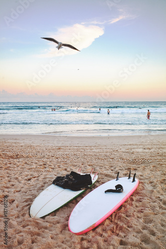 Photography Surfboards lay on the sand at Bondi beach , while a seagull flies in the pink sunset sky, Sydney Australia