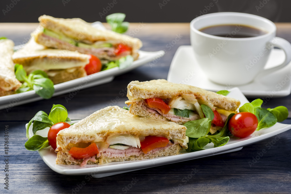 Croque Monsieur - Classic French Bistro Sandwich Croque Monsieur - Classic French Bistro Sandwich