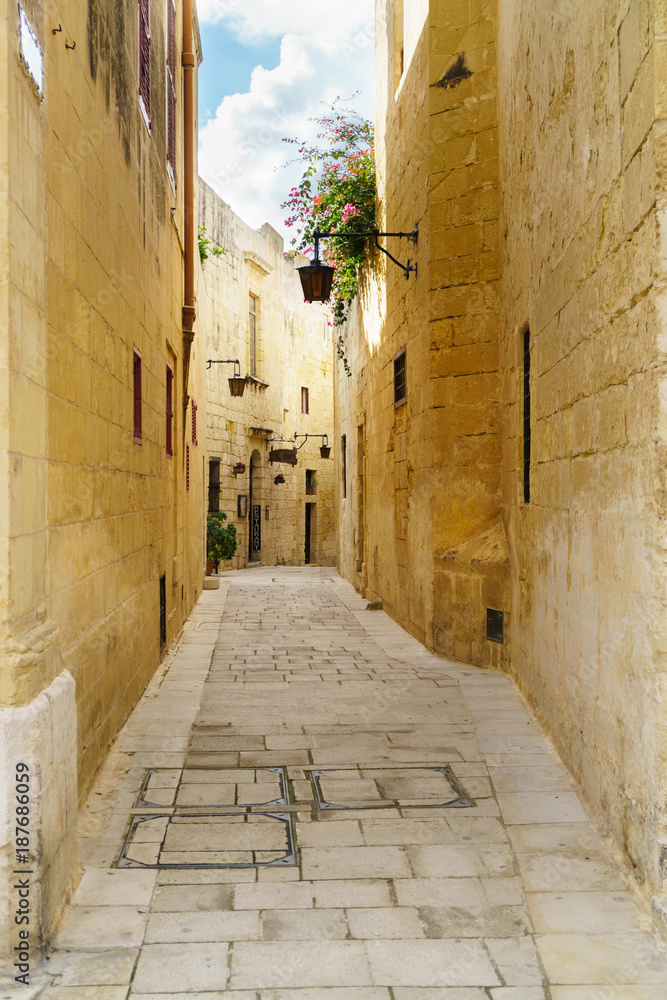 Obraz premium Quiet narrow desert medieval street in silent city Mdina, Malta. Travel postcard vacation concept. Copy space. Vintage effect.