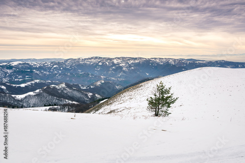 Fototapeta Naklejka Na Ścianę i Meble -  Peaceful winter mountain landscape at sunset