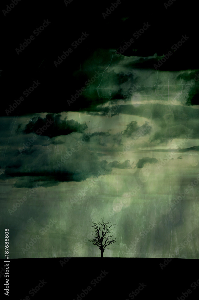 Single leafless dead tree in a field silhouetted against a grunge textured rain effect grey sky 