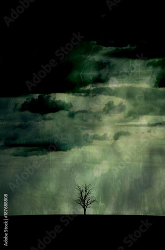 Single leafless dead tree in a field silhouetted against a grunge textured rain effect grey sky 