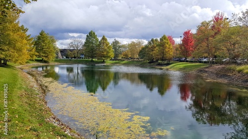 Pond Fall colors