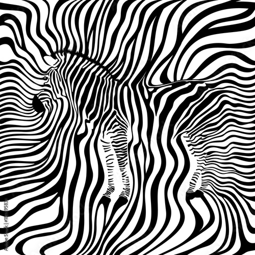 Zebra seamless pattern. Animal skin print texture background. Black and white, wild animal. design trendy fabric,  vector illustration.