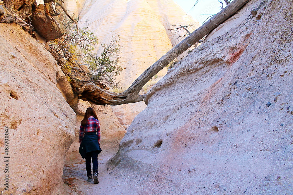 Obraz premium Exploring the American Southwest