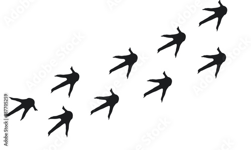 Rooster Foot print wallpaper silhouette, Chicken Walking Foot print vector