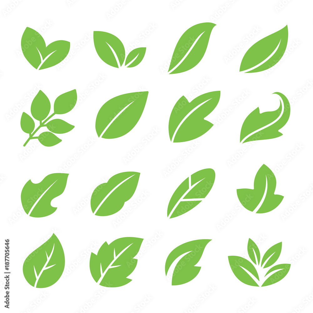Leaves icon set. Collection of leaf logo design for green, eco, organic, food, beauty, health care brand identity. vector illustration . Leaves icon set. Collection of leaf logo design for green, eco, organic, food, beauty, health care brand identity. vector illustration .