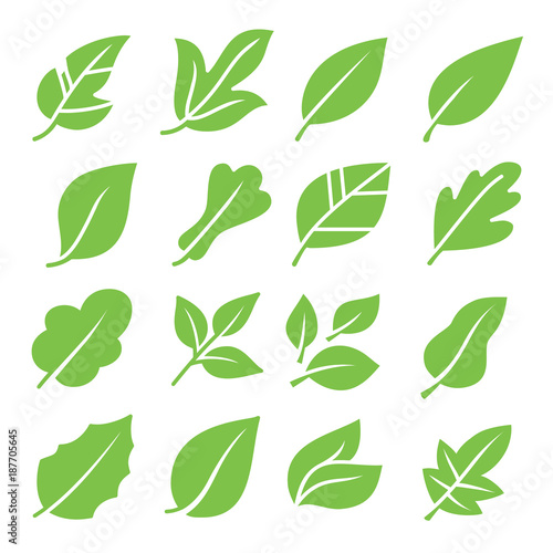 Leaves icon set. Collection of leaf logo design for green, eco, organic, food, beauty, health care brand identity. vector illustration .