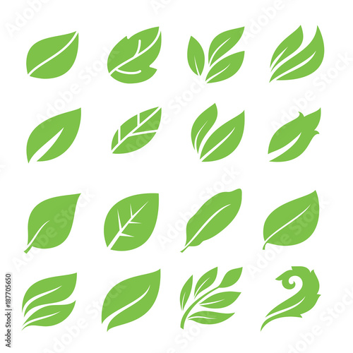 Leaves icon set. Collection of leaf logo design for green  eco  organic  food  beauty  health care brand identity. vector illustration .