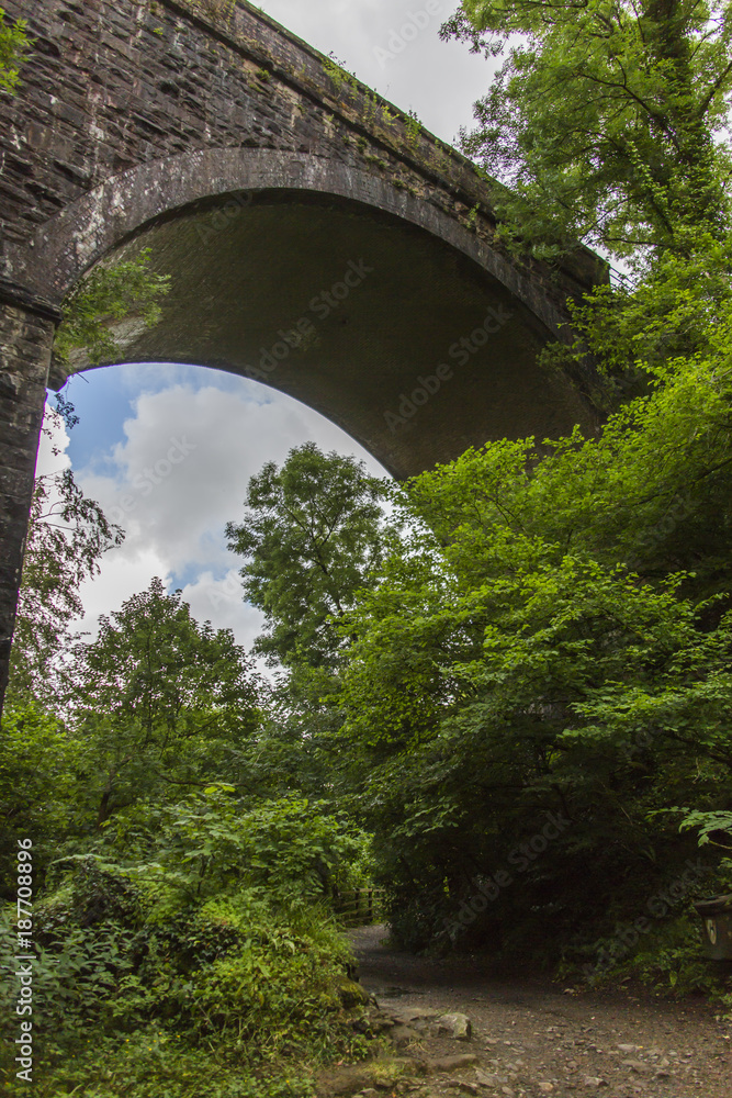 Brücke im Dartmoor